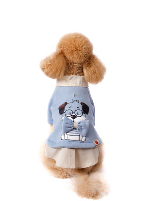 Bebek Mavisi Köpek Sweatshirtü “Prof Dog”