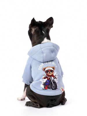 Bebek Mavisi Köpek Hoodie “Crazy Rider”
