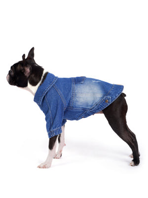 Orta Yıkama Denim Köpek Ceketi “Rodeo”