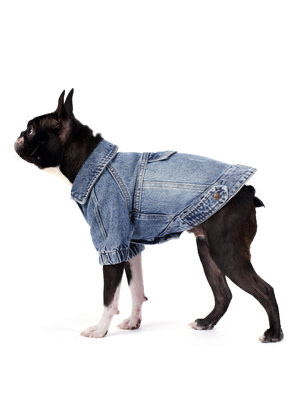 Orta Kar Yıkama Denim Köpek Ceketi “Rodeo”