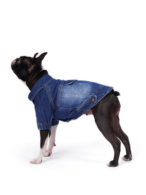 Koyu Yıkama Denim Köpek Ceketi “Rodeo”