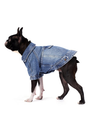 Koyu Kar Yıkama Denim Köpek Ceketi “Rodeo”