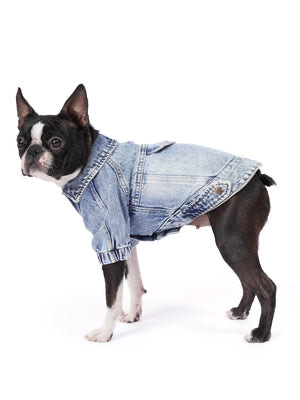Açık Kar Yıkama Denim Köpek Ceketi “Rodeo”