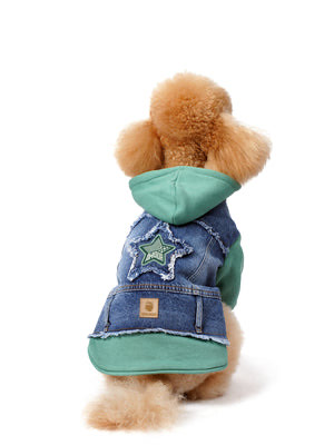 Su Yeşili Kapüşonlu Köpek Denim Ceketi