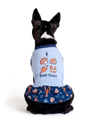 Pamuklu Bebek Mavisi Köpek Elbisesi “Shell Yeah!”