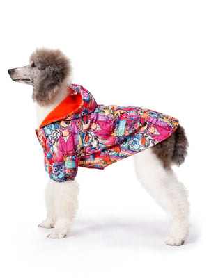 Büyük Irk İçi Polarlı Su Geçirmez Köpek Yağmurluğu “Colorful Dog City”