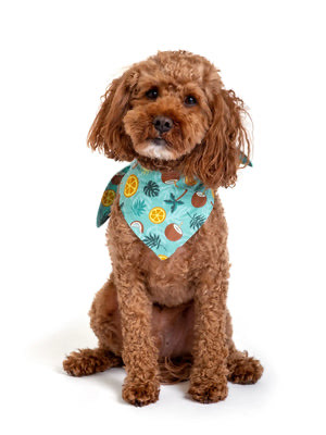 Çift Taraflı Köpek Bandanası “Tropic Like It’s Hot”